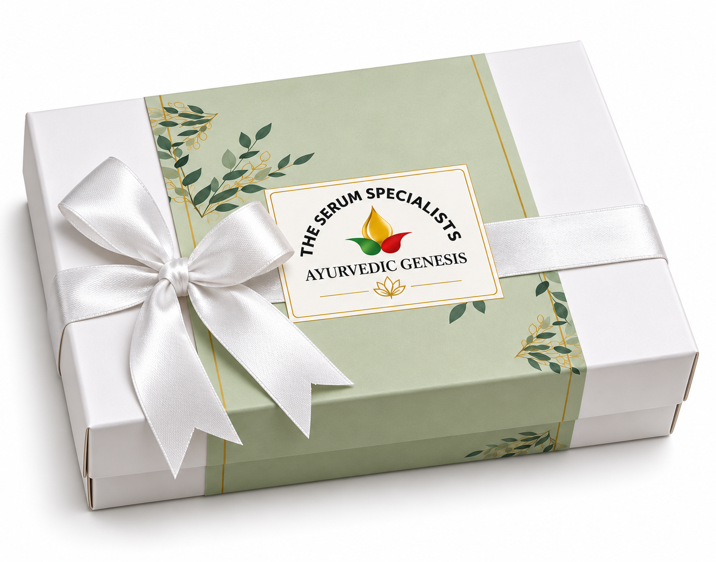 Premium gift box packaging